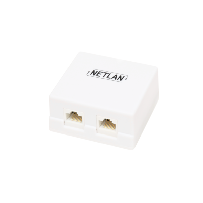 Настенная розетка NETLAN, 2 порта, Кат.5e (Класс D), 100МГц, RJ45/8P8C, 110, T568A/B, неэкранированная, белая, уп-ка 10шт.